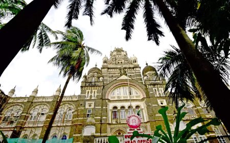 Test now to verify potency in 2017 not legal: Bombay HC