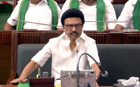 'Defining moment': Tamil Nadu chief minister M K Stalin to host delimitation meet today