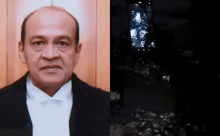 'Premature to draw conclusions': Delhi HC Bar Association chief on cash recovery from judge's home