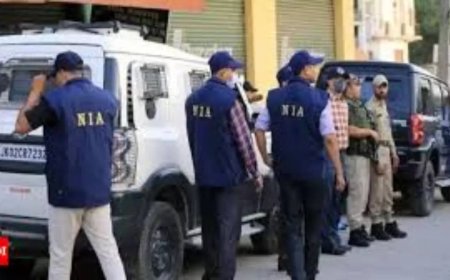 Chandigarh Grenade Attack: NIA chargesheets 4 Babbar Khalsa International terrorists