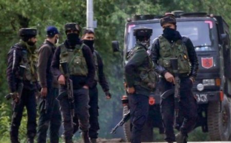 J&K encounter: Fierce gunfight underway after security personnel spot terrorists during search op in Kathua