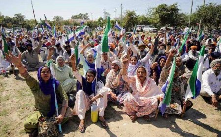 Punjab cops looted from protest sites, say farmers