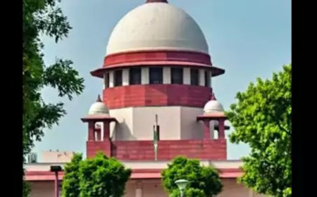 SC refuses to hear plea challenging Allahabad HC grabbing breasts not rape attempt ruling