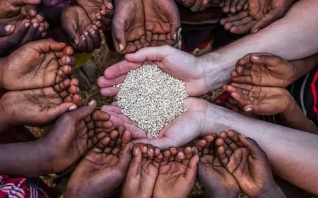 Government identifies 5.6 lakh centenarians under food security scheme