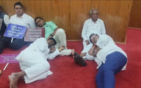 Suspended Odisha MLAs spend night in assembly demanding inquiry into crimes against women
