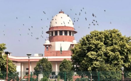 Cutting large number of trees worse than killing a human being, says Supreme Court