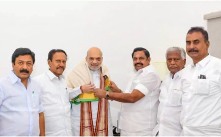 Palaniswami says no alliance talks with BJP, but keeps door ajar after meeting Amit Shah