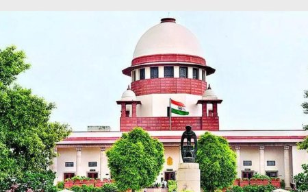 'We are at pains': What Supreme Court said on Allahabad HC's 'grabbing breasts not rape attempt' verdict