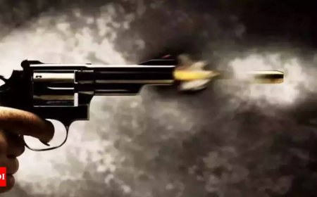 Chennai police kill snatcher from Maharashtra gang