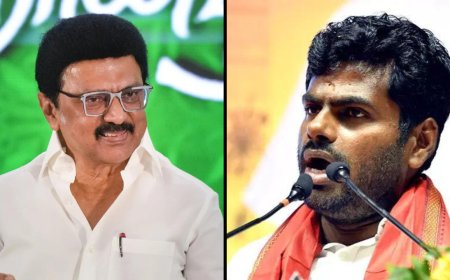 'Schools owned by Stalin's family teach three languages': Annamalai targets Stalin for remarks on UP CM