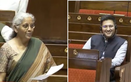 'Amused': Nirmala Sitharaman's humorous take on AAP's Raghav Chadha raising conditions of banks