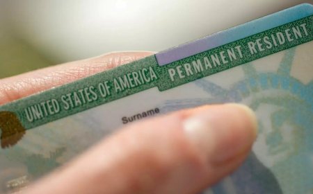 Green Card freeze: Donald Trump administration pauses processing applications, what does it mean for Indians? FAQ