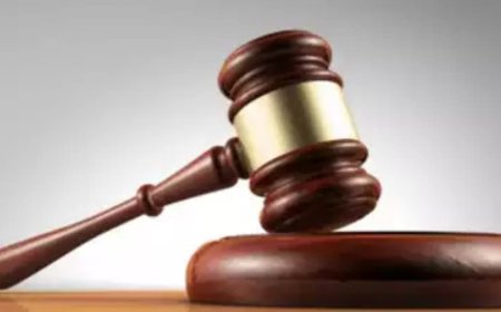 Concept of family eroding, country on brink of 'one person, one family,' laments Supreme Court