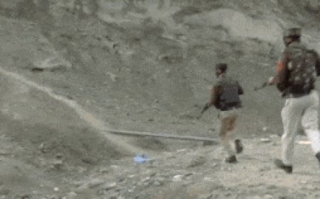 Watch: Anti-terror operation resumes in J&K Kathua’s remote forests