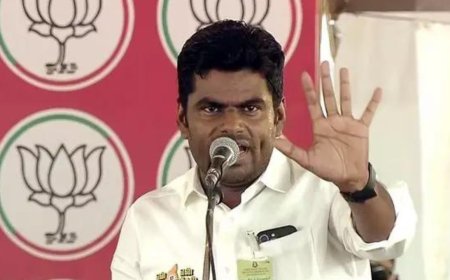 'National leadership will decide': Annamalai on BJP-AIADMK alliance