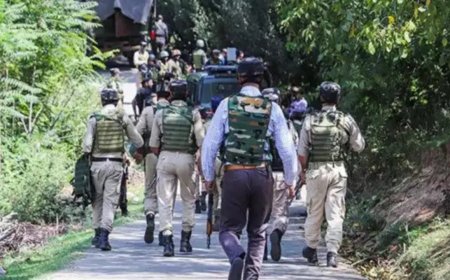 J&K police role in Jammu region crucial as terrorists resort to jungle warfare