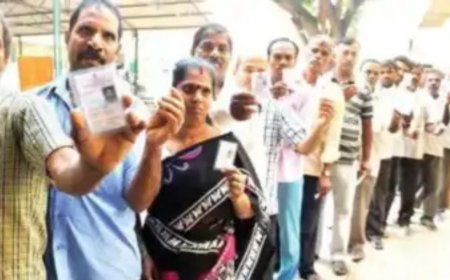 Parliament panel takes serious view of states failing to hold panchayat elections every 5 years