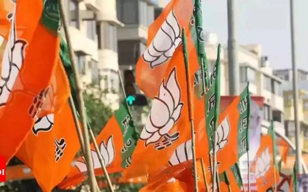 BJP slams Didi for disagreeing that India would soon become 3rd-largest economy