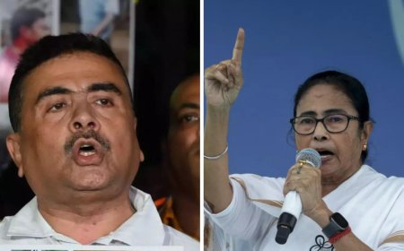 'Tarnished India’s reputation': BJP demands MEA to ban Mamata's future foreign visits