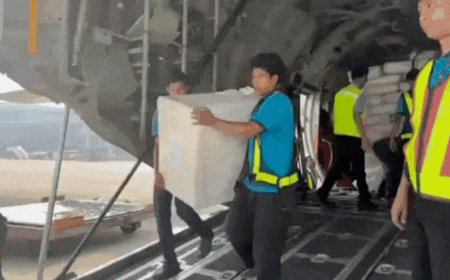 Watch: India launches 'Operation Brahma', sends 15 tonnes of aid to Myanmar after massive earthquake