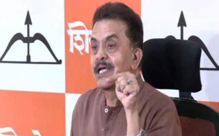'Close non-veg stalls for Navratri,' says Sanjay Nirupam; NCP (SCP) calls it a 'tamasha'