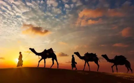 Why Rajasthan Day is changing calendars