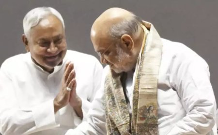 'Will never again jump ship', Nitish Kumar assures Amit Shah