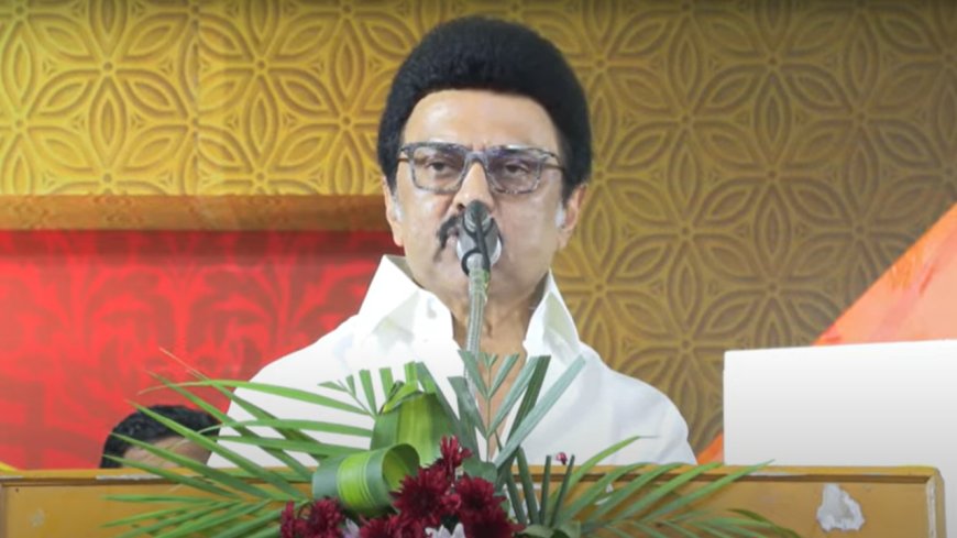 'Have babies now': CM MK Stalin to couples in Tamil Nadu amid delimitation row