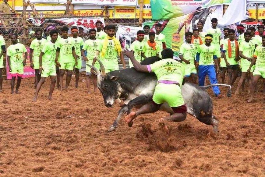Bull-tamer gored to death at TN Jallikattu event