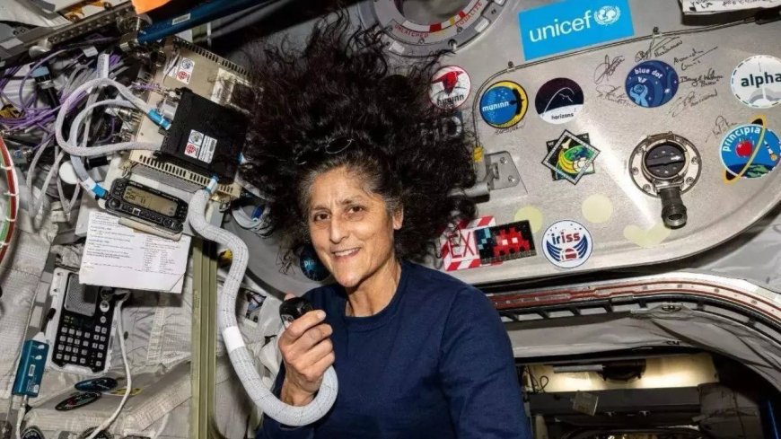'Earth missed you': PM Modi, ministers celebrate return of 'India's daughter' Sunita Williams from space