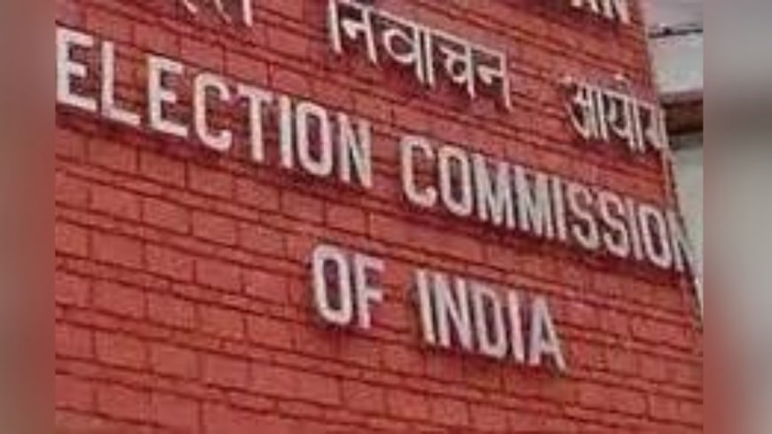 Election Commission to link voter rolls to birth & death database