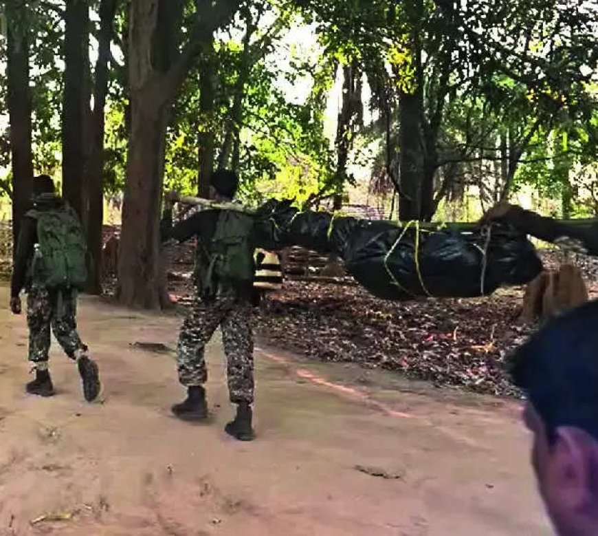 In 80 days, 113 Maoists killed by forces in Chhattisgarh