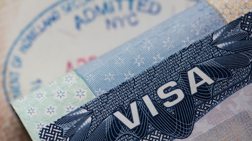 'Fraudulent info, misrepresentations': How US embassy detected visa fraud by agents