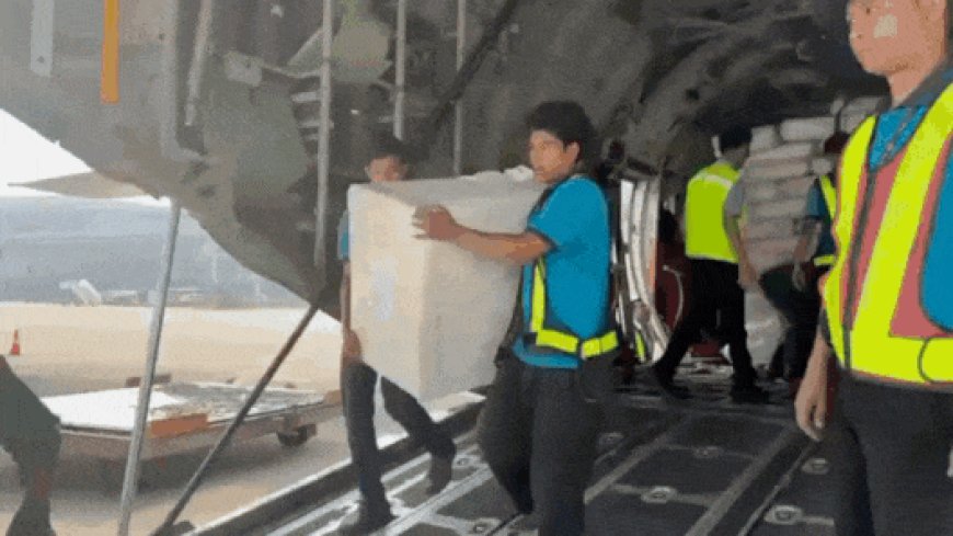 Watch: India launches 'Operation Brahma', sends 15 tonnes of aid to Myanmar after massive earthquake