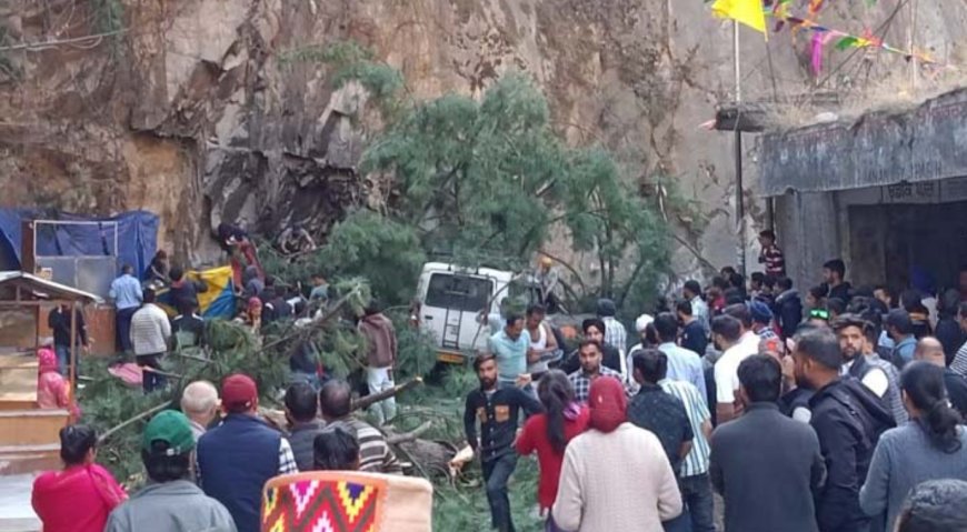 6 killed after uprooted tree crushes vehicles in Himachal