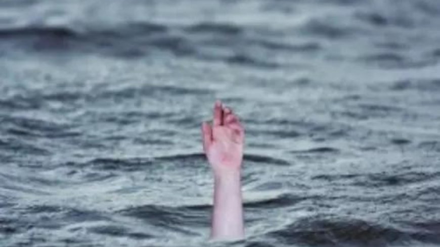 Woman, 3 kids drown in pond  in Telangana's Kamareddy