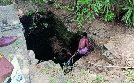 Taking lessons from Money Heist, 6 loot gold from SBI branch in Karnataka