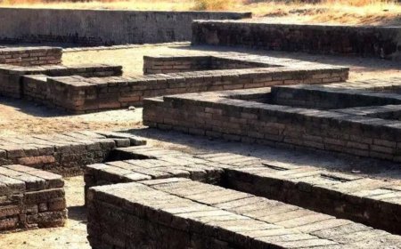 IIT-Delhi team, a member of which lost life in Lothal, carried out digs without ASI nod