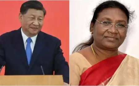 China, India should strengthen ties in 'Dragon-Elephant tango': Xi Jinping