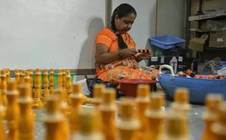 Ctrl C + Ctrl V: Story of eco surveys in Karnataka