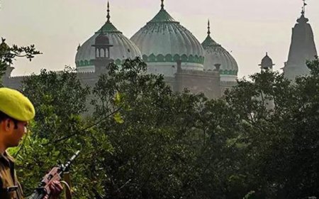 Should we start digging up 30,000 mosques: RSS's Dattatreya Hosabale