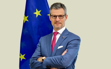 Global environment expediting India-EU FTA talks, good progress in last round: Envoy