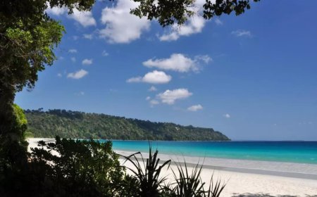 With coconut & coke, American tried to befriend Sentinelese in Andaman and Nicobar islands