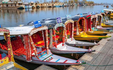 Over 300 projects receive forest clearance in J&K for various projects