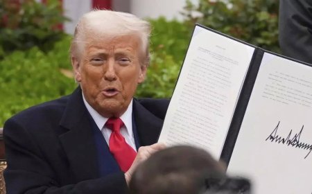 India's 'uniquely burdensome' certification rules make it 'costly' for US companies to operate: White House on 'Liberation Day'