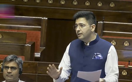 'Use Starlink as bargaining chip': AAP leader Raghav Chadha's advise to Centre on dealing with Donald Trump's tariffs