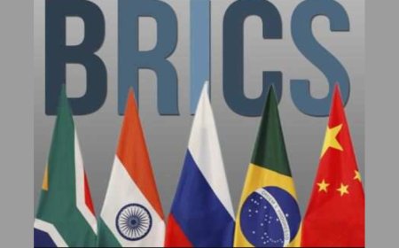 India urges BRICS nations to unite on mobilising $1.3 trillion annually to achieve climate action goals