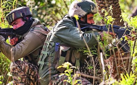 ‘Fugitive’ terrorists spotted in Udhampur, search launched