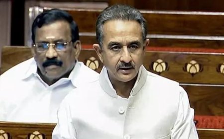 'Rise in incidents of Hindu temples being defaced with anti-India graffiti in US': MEA tells Lok Sabha