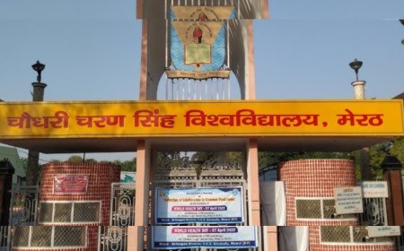 Meerut College professor banned for life from exam duties over questions on RSS